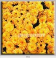 /album/photo-gallery-canvas-uri/decoratiuni-de-perete-canvas-lc-0912-jpg/